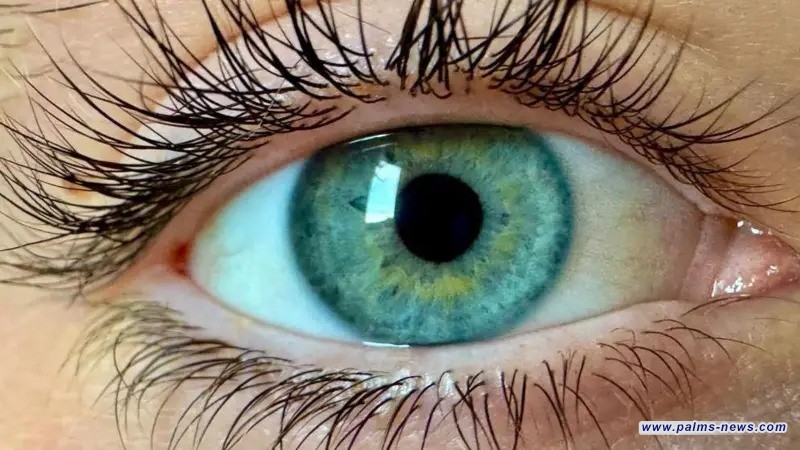 علماء يزعمون اكتشاف "لون جديد" لم يره أحد من قبل